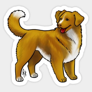 Dog - Nova Scotia Duck Tolling Retriever - Red Gold and White Sticker